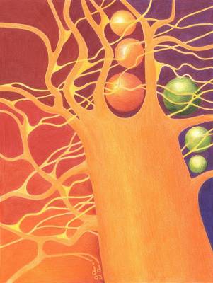 "day tree" - coloured pencil - Drawing by Juliane Drzymalla, an artist from Hawke's Bay, New Zealand.